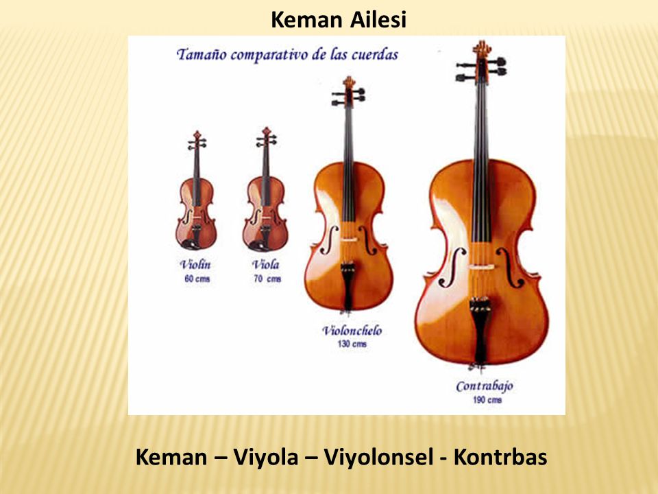 Cuerdas en el violin